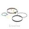 Filtro de partículas (FAP solo) Citroën C4 Picasso 1.6 2007 Euro 5