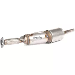 200105495R - OEM Número / Filtro de partículas